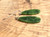 15mm Natural Untreated Nephrite Jade Long Raindrop Earrings 2800