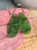 15mm Natural Untreated Nephrite Jade Long Raindrop Earrings 2800