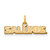 Gold Plated 925 Silver Southern Illinois University XS LogoArt Pendant GP017SIU