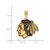 Image of Gold Plated Sterling Silver NHL Chicago Blackhawks Large Enamel LogoArt Pendant