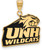 Image of Gold Plated Sterling Silver U of New Hampshire Large Pendant by LogoArt GP014UNH