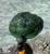 Green Natural Untreated Nephrite Canadian Jade Lucky Money Frog on a Cord