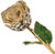Lacquer Dipped Gold-Tone Trim Cream/Black Leopard Rose
