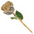 Image of Lacquer Dipped Gold-Tone Trim Cream/Black Zebra Rose