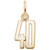 Number 40 Charm (Choose Metal) by Rembrandt
