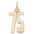 Number 75 Charm (Choose Metal) by Rembrandt