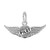 Pilots Wings Charm (Choose Metal) by Rembrandt