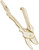 Image of Pruning Shears Charm (Choose Metal) by Rembrandt