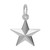 Image of Star Charm (Choose Metal) by Rembrandt