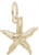 Image of Starfish Charm (Choose Metal) by Rembrandt