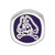 Image of Sterling Silver East Carolina U Primary Cushion Shape Bead by LogoArt