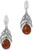 Image of Sterling Silver Oxidized Amber Feather Earrings