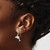 Image of 30mm Sterling Silver Polished Dolphin Dangle Earrings