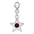Sterling Silver Rhodium-plated CZ Simulated January Birthstone Star Charm