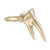 Tooth Charm - 0643-Gold-Back