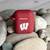 Wisconsin Badgers Silicone Case Cover Compatible with Apple AirPods Battery Case - Crimson Red