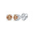 Image of 10kt White Gold Womens Round Brown Diamond Solitaire Earrings 1/4 Cttw