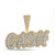Image of 10kt Yellow Gold Mens Round Diamond CASH Charm Pendant 7/8 Cttw