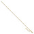 Image of 14K Yellow Gold Adjustable Box Chain