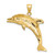 14K Yellow Gold Polished and Textured Jumping Dolphin Pendant