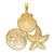 14K Yellow Gold with White Rhodium Scallop, Starfish and Sand Dollar Pendant