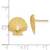 Image of 13mm 14K Yellow Gold Scallop Shell Post Earrings