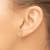 Image of 21.1mm 14K Yellow Gold CZ Fern Ear Climber Earrings