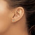 Image of 7.75mm 14k Two-tone Gold CZ Heart w/Butterfly Post Earrings
