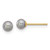 Image of 4.25mm 14K Yellow Gold 4-5mm Round Grey Freshwater Cultured Pearl Post Earrings