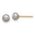 Image of 4.75mm 14K Yellow Gold 4-5mm Grey Button Freshwater Cultured Pearl Stud Post Earrings