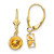Image of 25mm 14K Yellow Gold 6mm Citrine Leverback Earrings XLB101CI