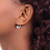 Image of 17mm 14k White Gold 5mm Heart Cubic Zirconia Leverback Earrings