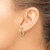 Image of 14K Yellow Gold Lab Grown Diamond SI1/SI2, G H I, Hinged Hoop Earrings EM4264-025-YLG