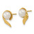Image of 11.45mm 14K Yellow Gold 5-6mm White Button Freshwater Cultured Pearl Post Earrings XF606E