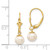 Image of 25mm 14K Yellow Gold 6-7mm White Round Freshwater Cultured Pearl Leverback Earrings XLB154PL