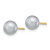Image of 6-7mm 14K Yellow Gold 6-7mm Grey Round Freshwater Cultured Pearl Stud Post Earrings