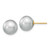 Image of 10-11mm 14K Yellow Gold 10-11mm Grey Round Freshwater Cultured Pearl Stud Post Earrings