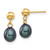 Image of 14mm 14K Yellow Gold 6-7mm Black Rice Freshwater Cultured Pearl Dangle Post Earrings