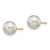 Image of 6-7mm 14K Yellow Gold 6-7mm Round Grey Saltwater Akoya Cultured Pearl Stud Post Earrings