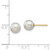Image of 6-7mm 14K Yellow Gold 6-7mm Round Grey Saltwater Akoya Cultured Pearl Stud Post Earrings