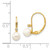 Image of 19mm 14K Yellow Gold 5-6mm Round White Freshwater Cultured Pearl .02 ctw Diamond Leverback Earrings