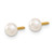 Image of 3mm 14K Yellow Gold Madi K 4-5mm Button Freshwater Cultured Pearl Screwback Earrings