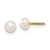 Image of 3mm 14K Yellow Gold Madi K 4-5mm Button Freshwater Cultured Pearl Screwback Earrings