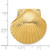 Image of 14K Yellow Gold Fits Up To 8mm and 10mm Medium Scallop Shell Slide Pendant D995