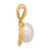 Image of 14K Yellow Gold 7-8mm Round White Freshwater Cultured Pearl Pendant XF827