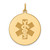 14K Yellow Gold Non-enameled Medical Jewelry Pendant XM409N