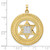 Image of 14k Two-tone Gold Solid Star and Torah Inside Frame Pendant