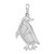 Image of Sterling Silver Polished/Textured Penguin Pendant