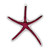 Image of Sterling Silver Polished Enameled Dancing Starfish Slide Pendant