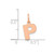 Image of Pink Sterling Silver Letter P Initial Charm XNA1337RP/P